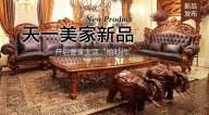 天一美家柚至尊新品，開啟奢享生活柚時代！